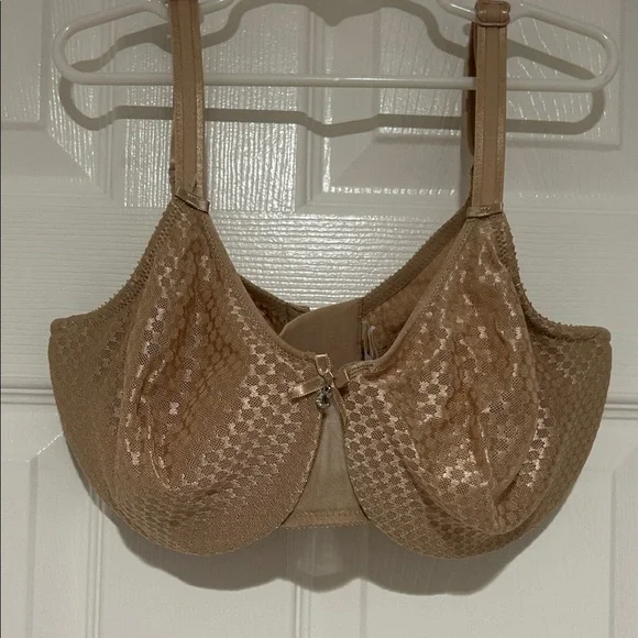 Chantelle Shimmering Tan Bra - Picture 1 of 6